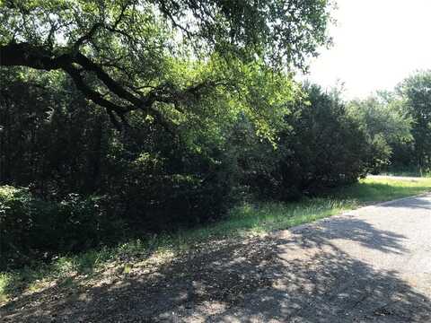 25084 Woodhaven Drive, Whitney, TX 76692