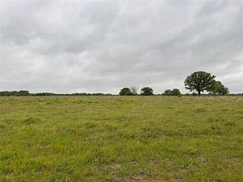 Lot 6 Rains County Rd 2610, Alba, TX 75410