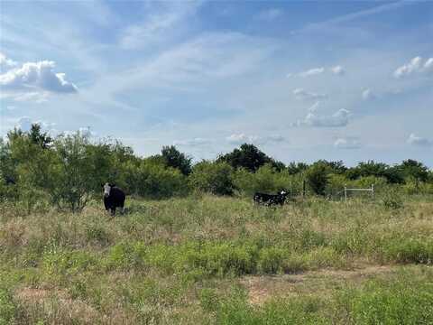 Tbd Fm-1658, Bridgeport, TX 76426