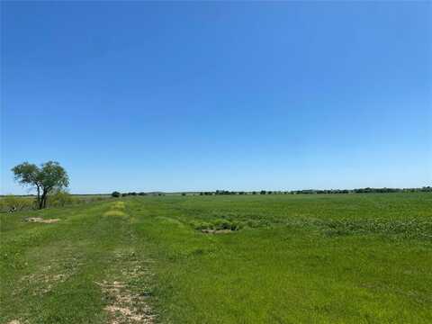 704 County Road 1102, Rio Vista, TX 76093