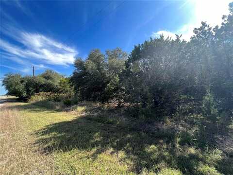 33028 Woodcrest Drive, Whitney, TX 76692