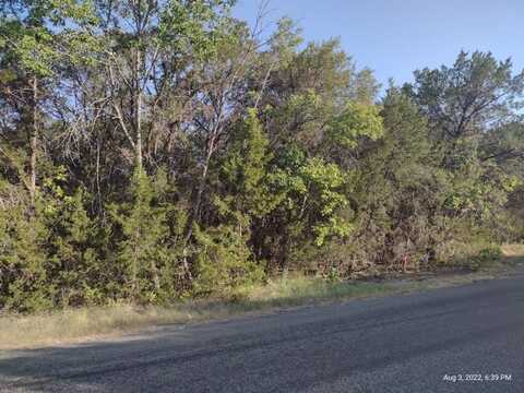 1011 Comanche Cove Drive, Granbury, TX 76048