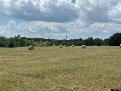 1380 RS County Road 4480, Point, TX 75472