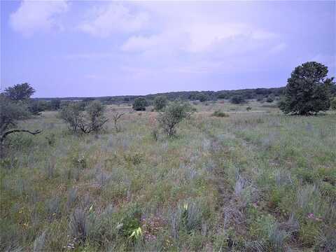 Tr 3 4 Wire, Bowie, TX 76230