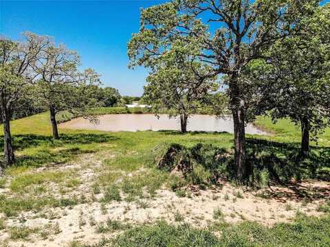 1019 Bluebonnet Ridge, Weatherford, TX 76087