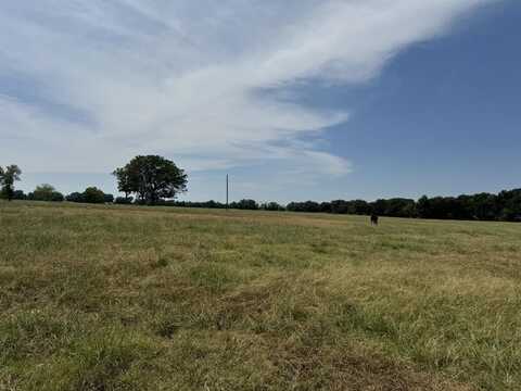 Tbd-tract 2 CR 15380, Pattonville, TX 75468