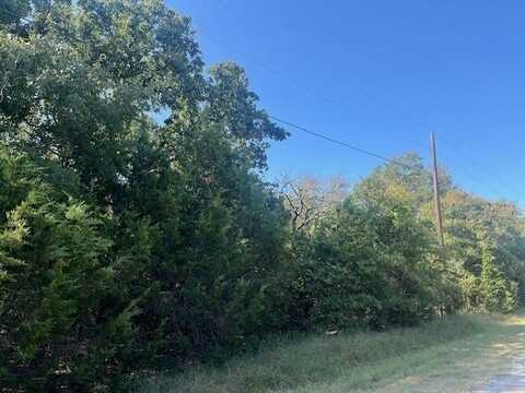 18018 Southhill Drive, Whitney, TX 76692