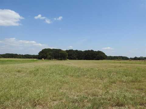 Tbd County Road 2235, Ivanhoe, TX 75447