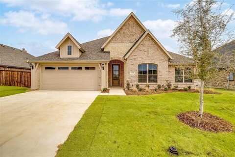 229 Brazos Drive, Waxahachie, TX 75165