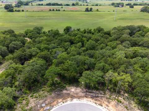 612 Dana Court, Tolar, TX 76476