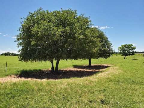 Hwy 36 Tx-36, Comanche, TX 76442