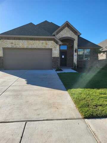 317 Saltmeadow, Red Oak, TX 75154