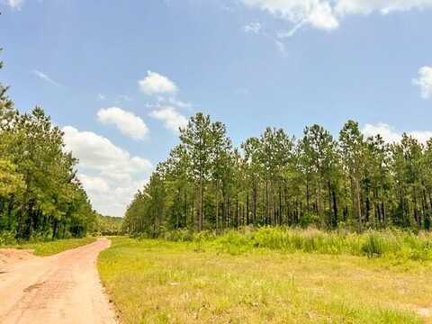 0 County Road 1325, Woodville, TX 75979