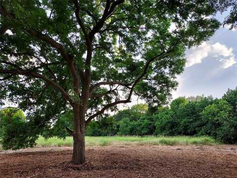 Tbd Tract 2 11 Acres County Rd 4615, Trenton, TX 75490