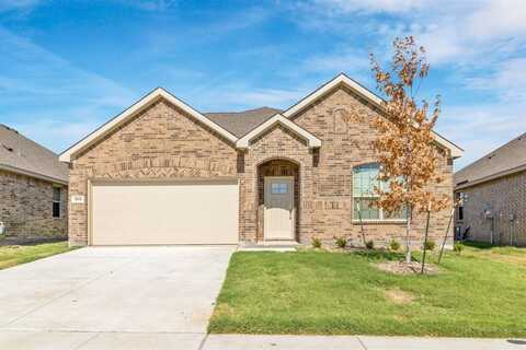 1505 Van Gogh Drive, Little Elm, TX 75068