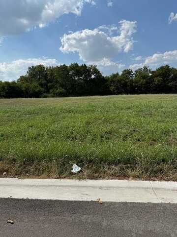 Tbd Lot 8 E Columbus Street, West, TX 76691