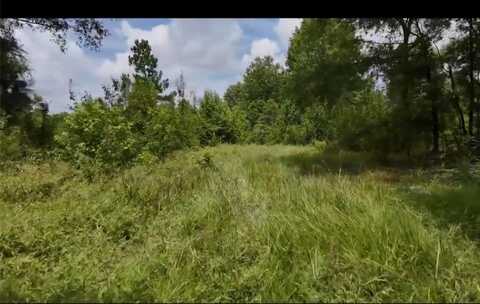 Lot 1 County Road 2215, Detroit, TX 75436