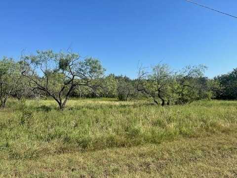 6007 Wildwood Drive, Whitney, TX 76692