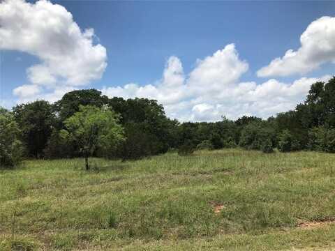 Lot 27 N Lakeview Drive, Palo Pinto, TX 76484