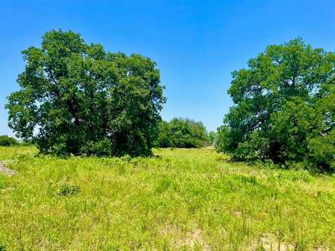 Lot 84 Kilkenny Road, Poolville, TX 76487