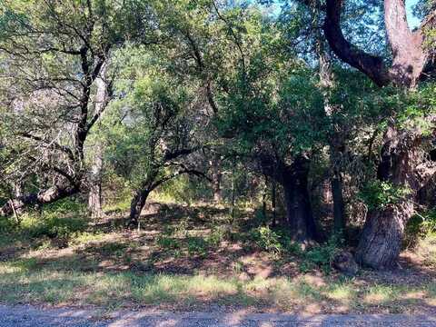 25083 Woodhaven Drive, Whitney, TX 76692