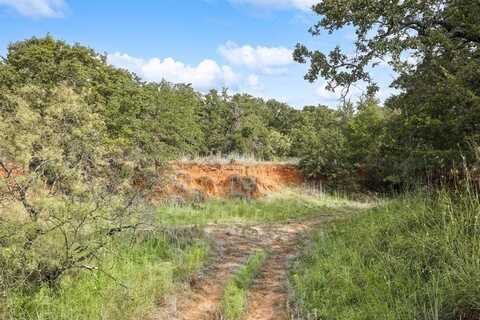 Tbd Joy Trail, Paradise, TX 76073