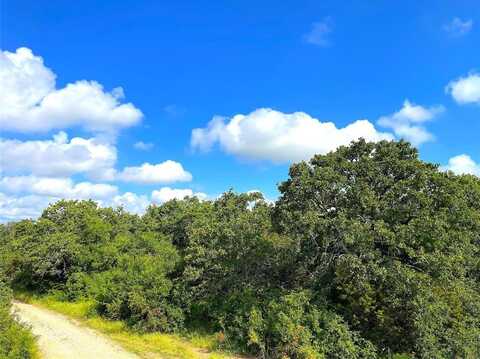 11010 281 Highway, Perrin, TX 76486