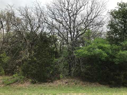 23090 Westmeadow Drive, Whitney, TX 76692