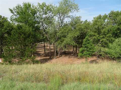 000 Horizon Ridge, Bowie, TX 76230