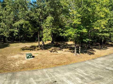 Tbd 154 Deer Valley Drive, Powderly, TX 75473