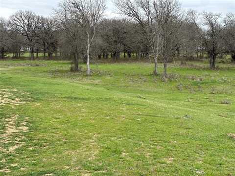 Lot1 Blk2 Tbd SH 171, Covington, TX 76636