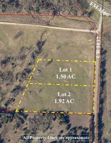 Lot 2 CR 1037, Celeste, TX 75423