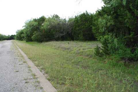 23067 Oak Ridge Drive, Whitney, TX 76692