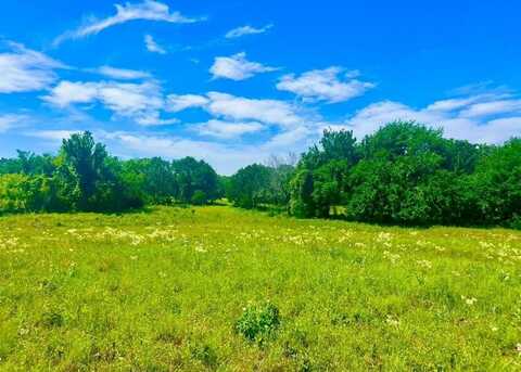 Lot 99 Arlow Road, Poolville, TX 76487