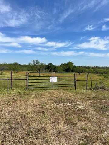 T5 Tbd FM 2823, Carlton, TX 76436