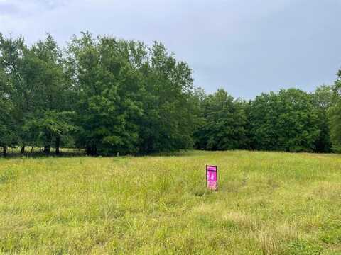 Lot 12 PR 44005, Blossom, TX 75416