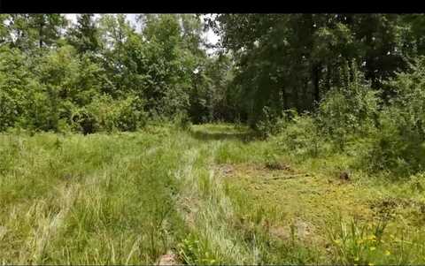 Lot 4 County Road 2215, Detroit, TX 75436