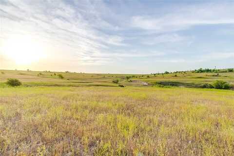 Lot 20 Old Springtown Road, Weatherford, TX 76085