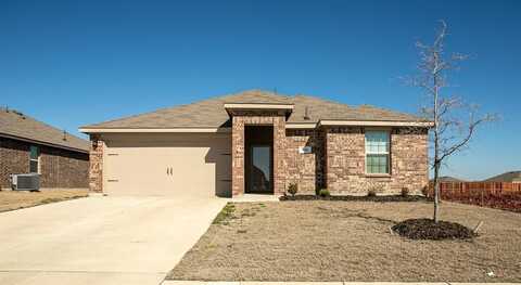 515 Windrow Drive, Josephine, TX 75189