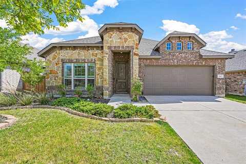 224 Old Settlers Trail, Waxahachie, TX 75167