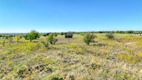 1024 Goodnight Trail, Perrin, TX 76486