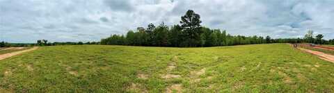 16817 Ridgeline Loop, Winona, TX 75792