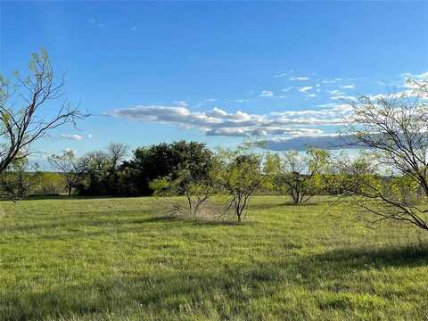 129 Tobiano Trace, Brock, TX 76087