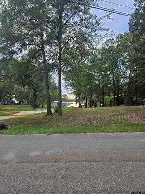 Tbd Lakeview Drive Lot 135, Troup, TX 75789