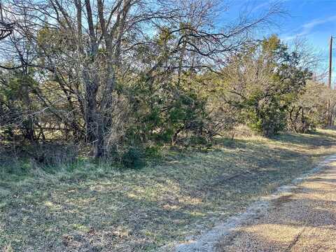 12154 Trailwood Drive, Whitney, TX 76692