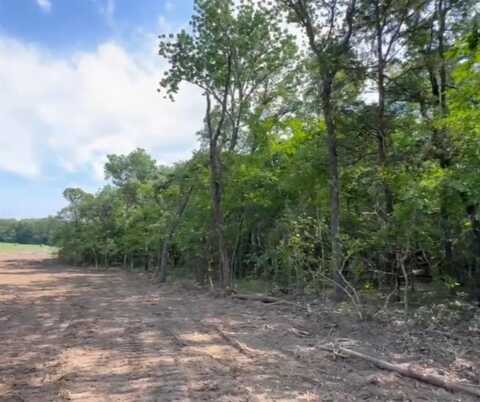 Lot 48 Spout Springs Road, Pottsboro, TX 75076