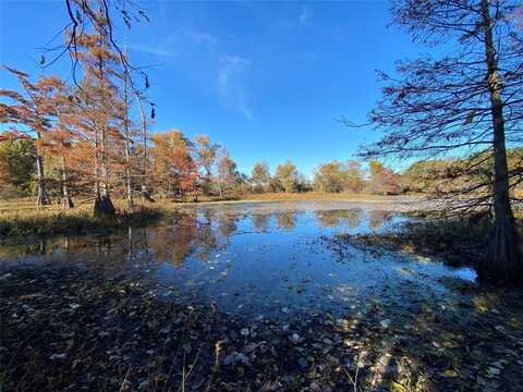 57 Acres Raynor Street, Humnoke, AR 72072