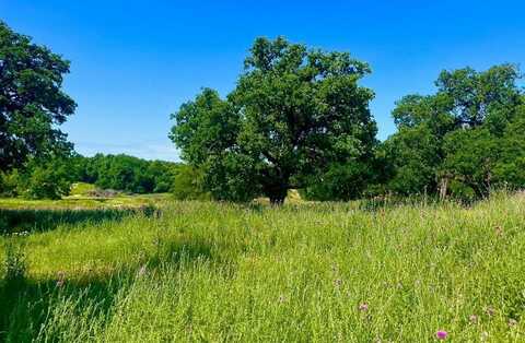 Lot 75 Kilkenny Rd, Poolville, TX 76487