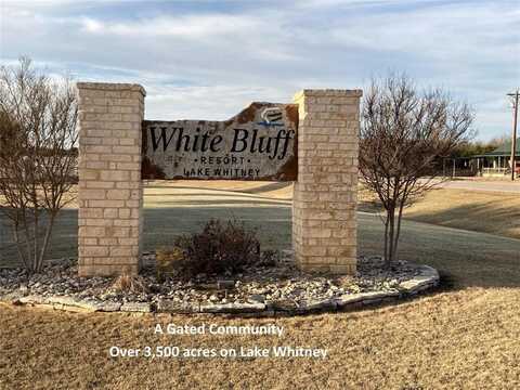 31057 Doe Run Court, Whitney, TX 76692