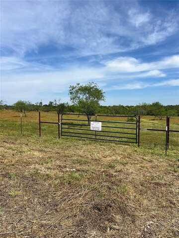 T4 Tbd FM 2823, Carlton, TX 76436